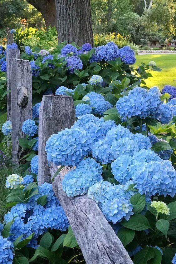 Gentle Whisper Enchanted Garden